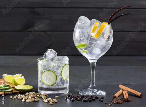 Gin tonic cocktail with lima cucumber vanilla cloves cardamom Tableau sur Toile