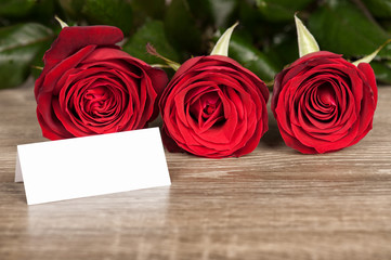 Wall Mural - three red roses and blank sheet on wood