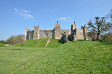 Wall Mural - Framlingam Castle with Tree