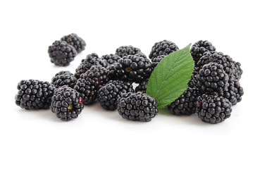 Canvas Print - Blackberries with a leaf