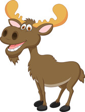 Moose Cartoon
