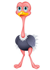 Poster - Ostrich cartoon