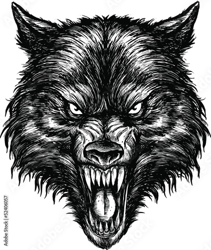 Plakat na zamówienie Hand Drawn Wolf Illustration Vector