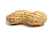 A Single Peanut On White
