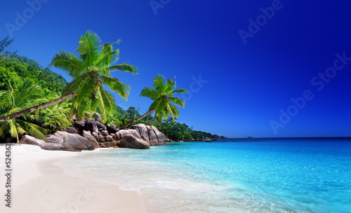 Naklejka na szybę beach at Praslin island, Seychelles