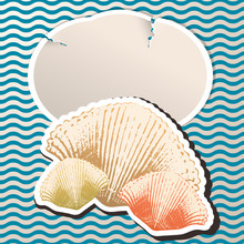 Retro Style Greeting Card With Sea Shell Illustration