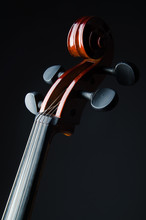Violin On The Black Background