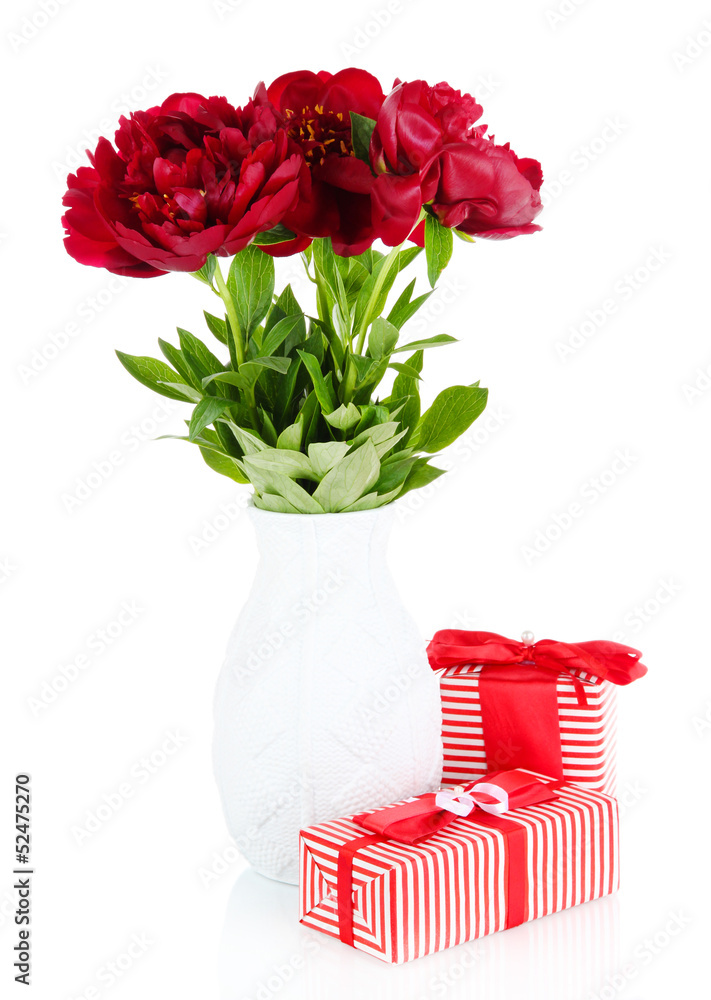 Beautiful peonies isolated on white