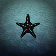Sea background with starfish