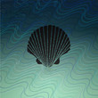 Vector Sea background with shell