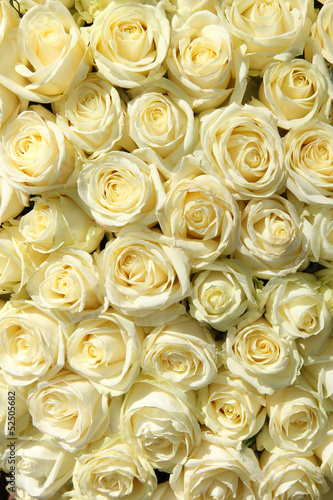 Naklejka na drzwi Group of white roses in floral wedding decorations