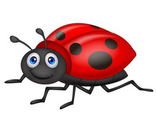 Cute Ladybug Cartoon