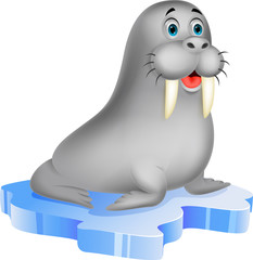 Poster - Cute walrus on ice