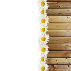 Wall Mural - Daisies and wooden texture border