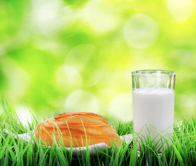 Wall Mural - Fresh cinnamon bun and glass of milk on nature background