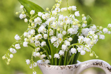 Lilly Of The Valley Flowers In White Rustic Vase