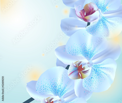 Board z aluminiowym obramowaniem Niebieskie kwiaty orchidei