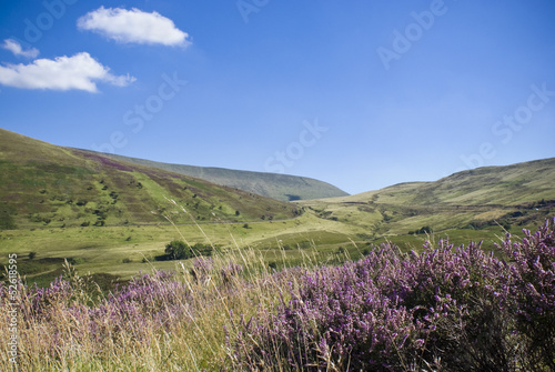 Plakat na papierze fotorealistycznym Idylliczny wiejski, brecon beacons, walia, wielka brytania