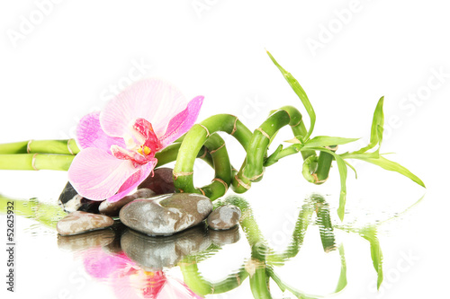 Plakat na papierze fotorealistycznym Martwa natura z zieloną rośliną bambusową, orchideą i kamieniami,