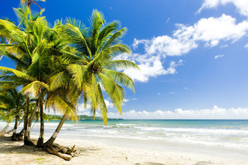 Poster - Rockly Bay, Tobago