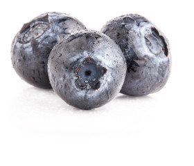 Wall Mural - Blueberries isolated on white background