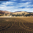 American Countryside Field In Colorado