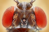 160_f_52663846_oc5uebb3ej9ve5694jhfjtglauimyclc