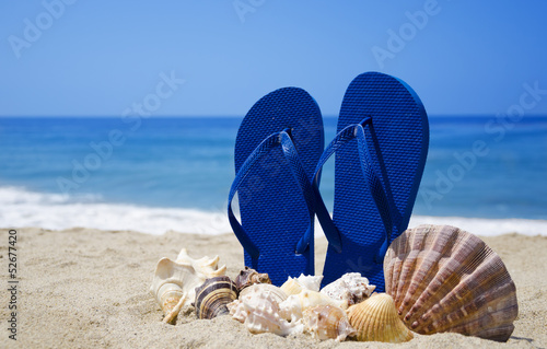 Fotografie, Obraz Flip-flops with seashells on sandy beach