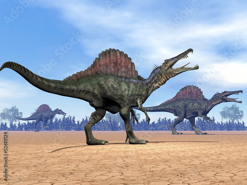 Naklejka samoprzylepna Spinosaurus dinozaury chodzić - 3d render