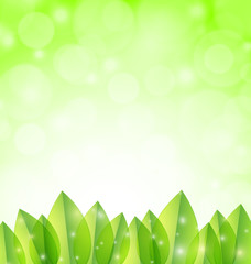 Wall Mural - Leaves on green background