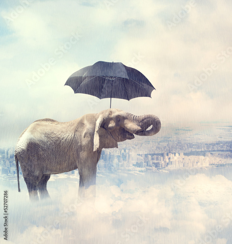 Tapeta ścienna na wymiar Elephant enjoying rain avobe the city on the clouds