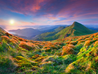 Wall Mural - Colorful morning sunrise in the mountains.