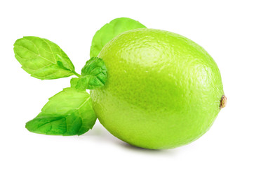 Sticker - Lime