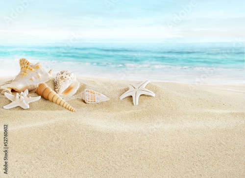 Naklejka na kafelki Shells on sandy beach