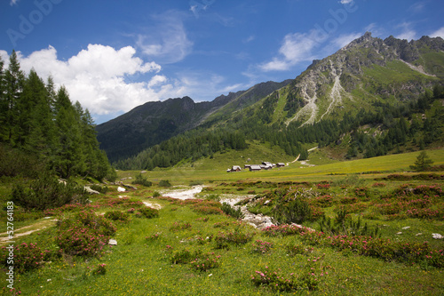 Plakat na papierze fotorealistycznym Ursprungalm - schladming