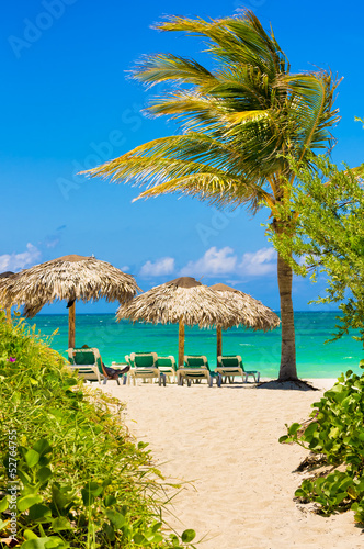 Board z aluminiowym obramowaniem Plaża varadero na Kubie z kokosowym drzewem