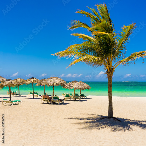 Board z aluminiowym obramowaniem Plaża varadero na Kubie z kokosowym drzewem