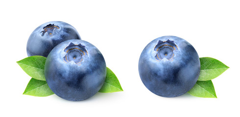 Leinwandbilder - Isolated blueberry. Two images of blueberries isolated on white background