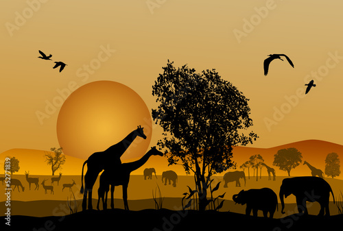 Plakat na zamówienie Silhouette of safari animal wildlife