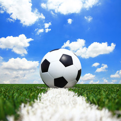 Wall Mural - Soccer football field stadium grass line ball background texture