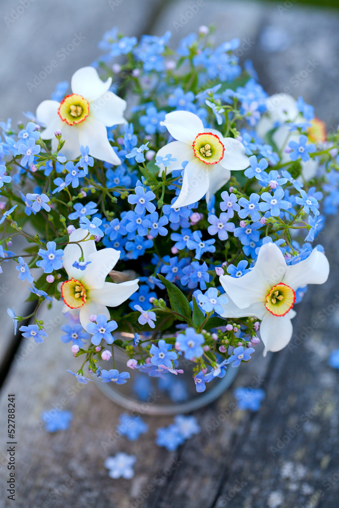 forget-me-not and narcissus flowers - obrazy, fototapety, plakaty 