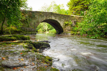 Beautiful Creek Of Clare Glens, Co. Limerick, Ireland