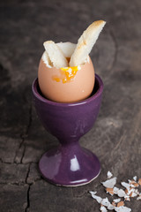 Boiled egg in an eggcup on wooden background.