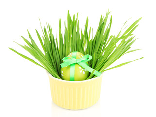 Easter egg in bowl with grass on table isolated on white