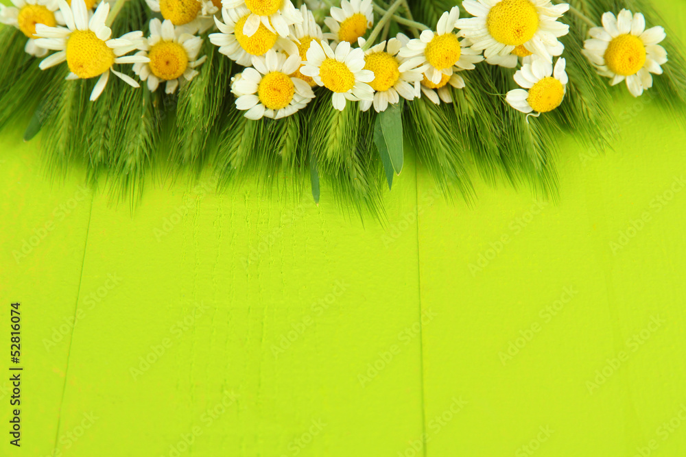 Green spikelets and wild camomiles, on wooden background