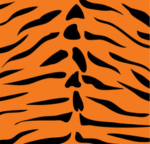 Vector Tiger Skin Background