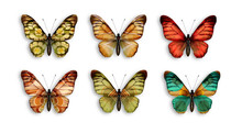 A Series Of Butterflies With Wings Retro Wallpaper