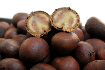 Sticker - chestnut