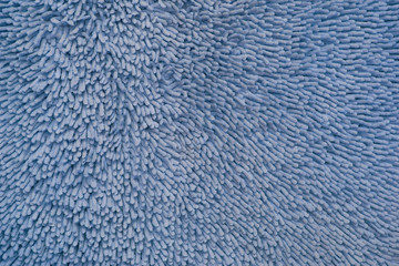 Anemone texture blue