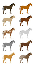 Set Of Colorful Horses